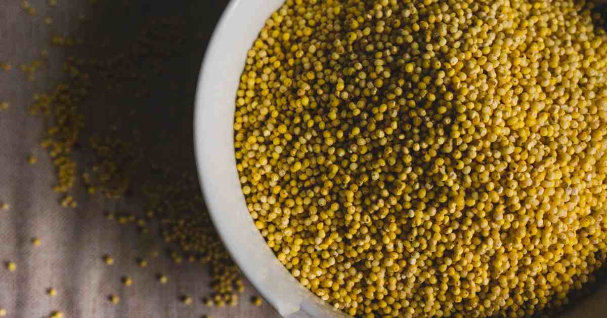 Millet Recipe in Hindi-compressed
