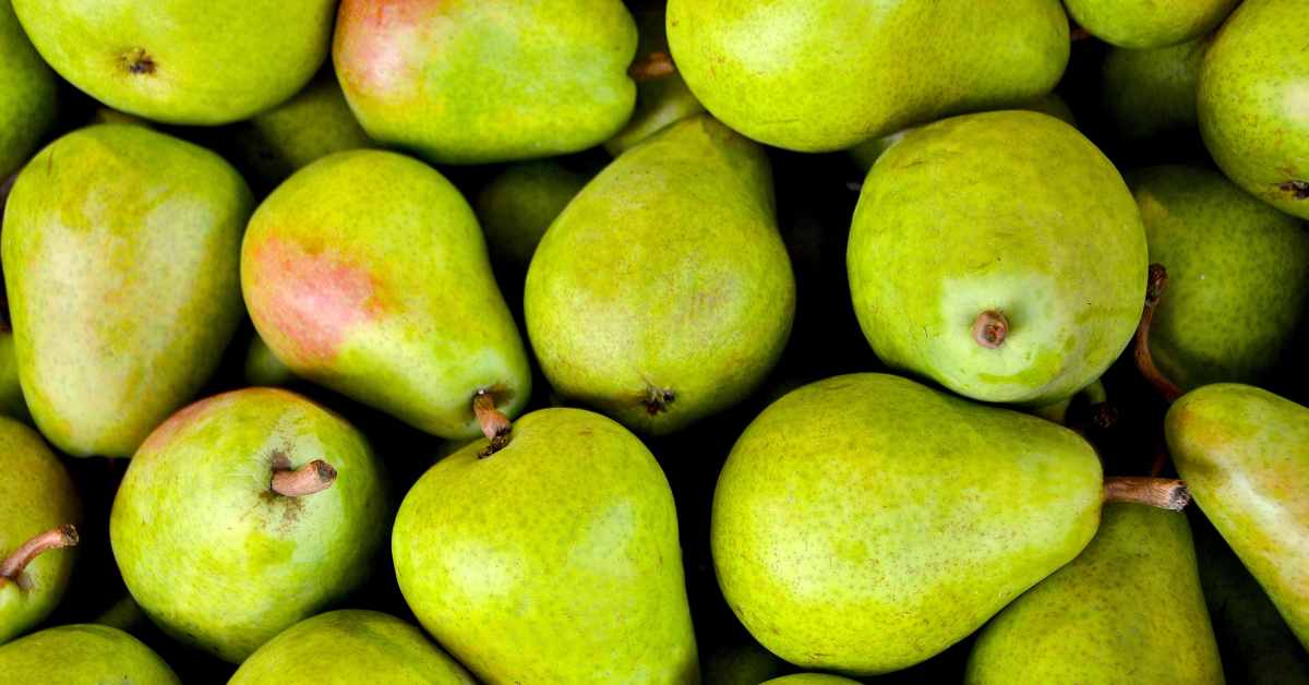 Benefits Of Pear Fruit in Hindi-compressed
