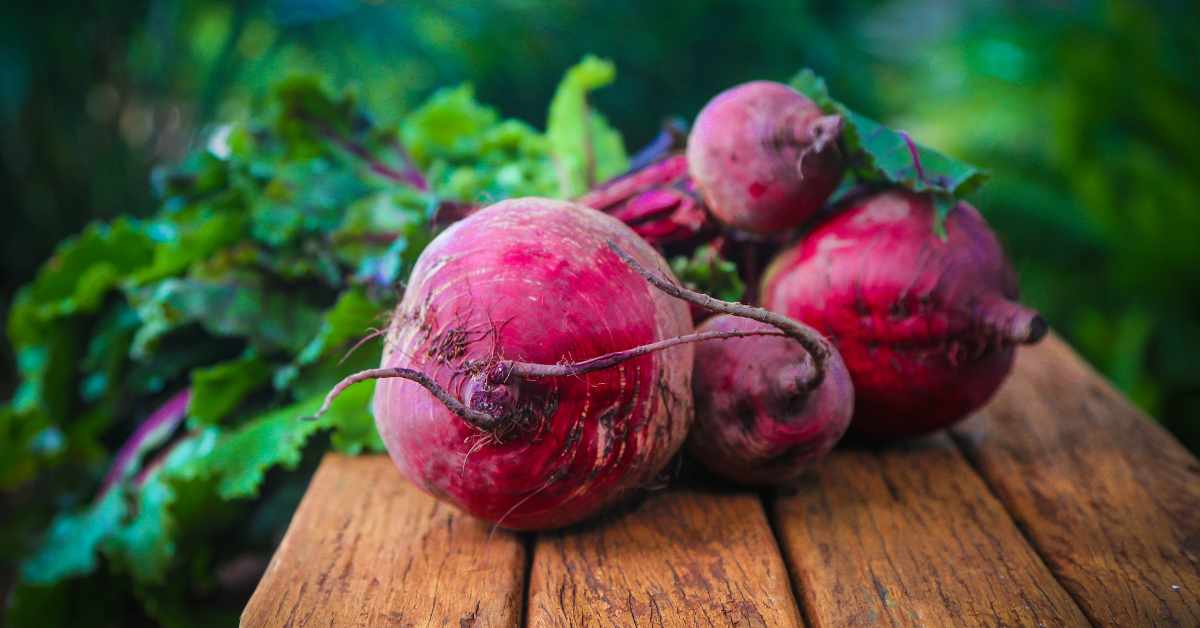 Benefits of Beetroot in Hindi-compressed