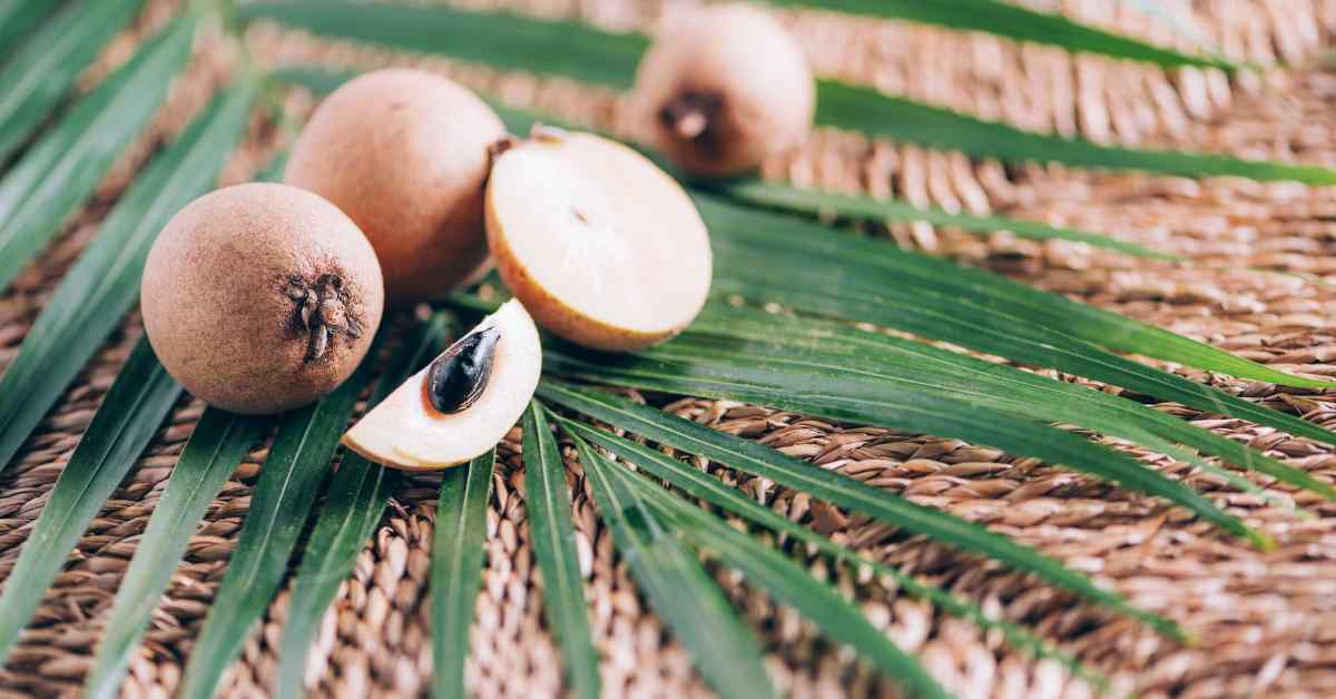 Chiku Health Benefits in Hindi-compressed