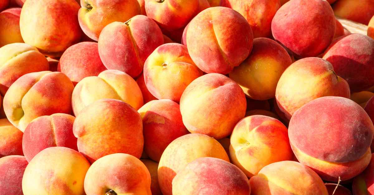 Peaches Benefits in Hindi-compressed
