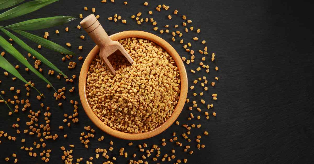 Benefits of fenugreek seeds that will surprise you-compressed