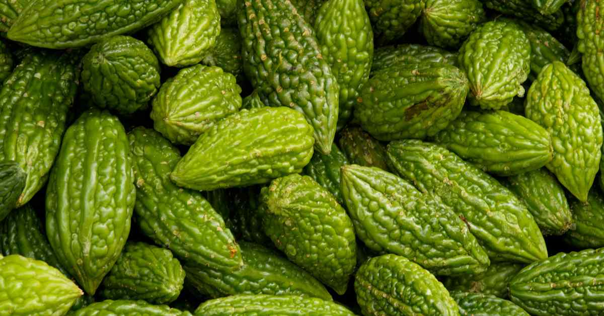 Bitter gourd is bitter but full of virtues-compressed