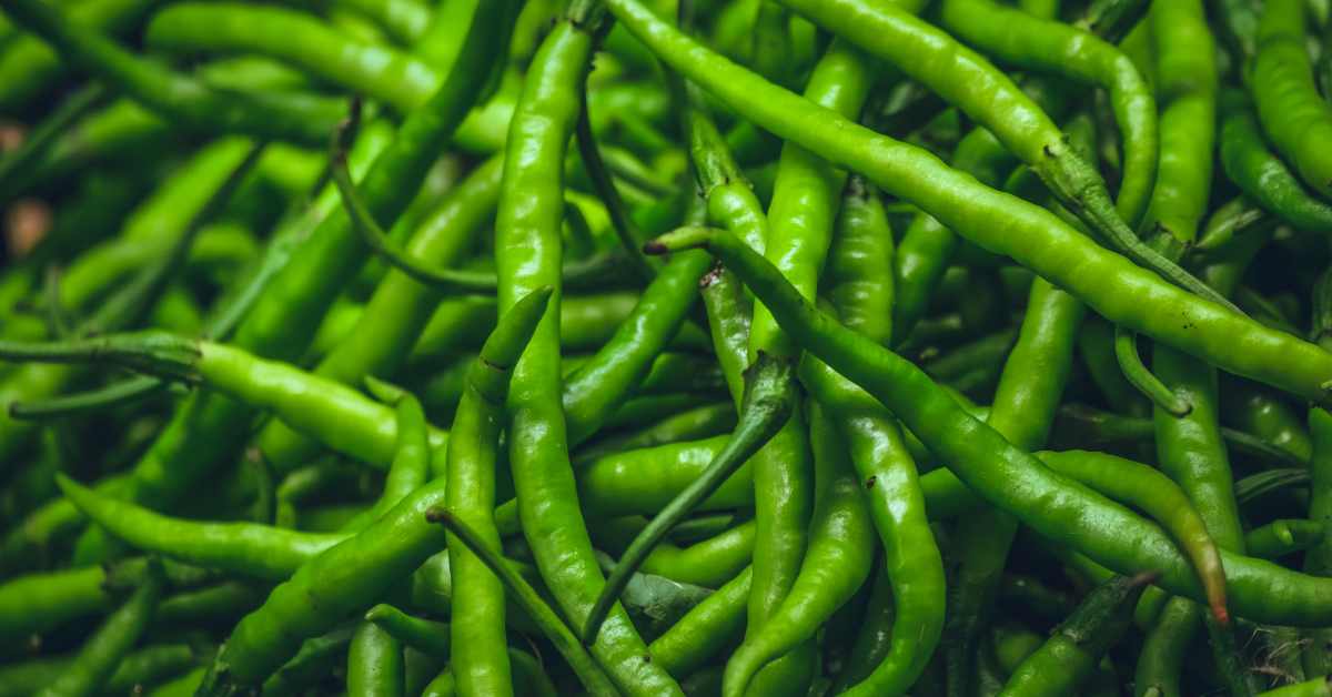 Green chillies that add colour, spice and zest to your cooking-compressed