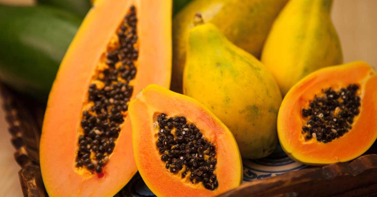 What are the disadvantages of eating papaya Must know!!-compressed