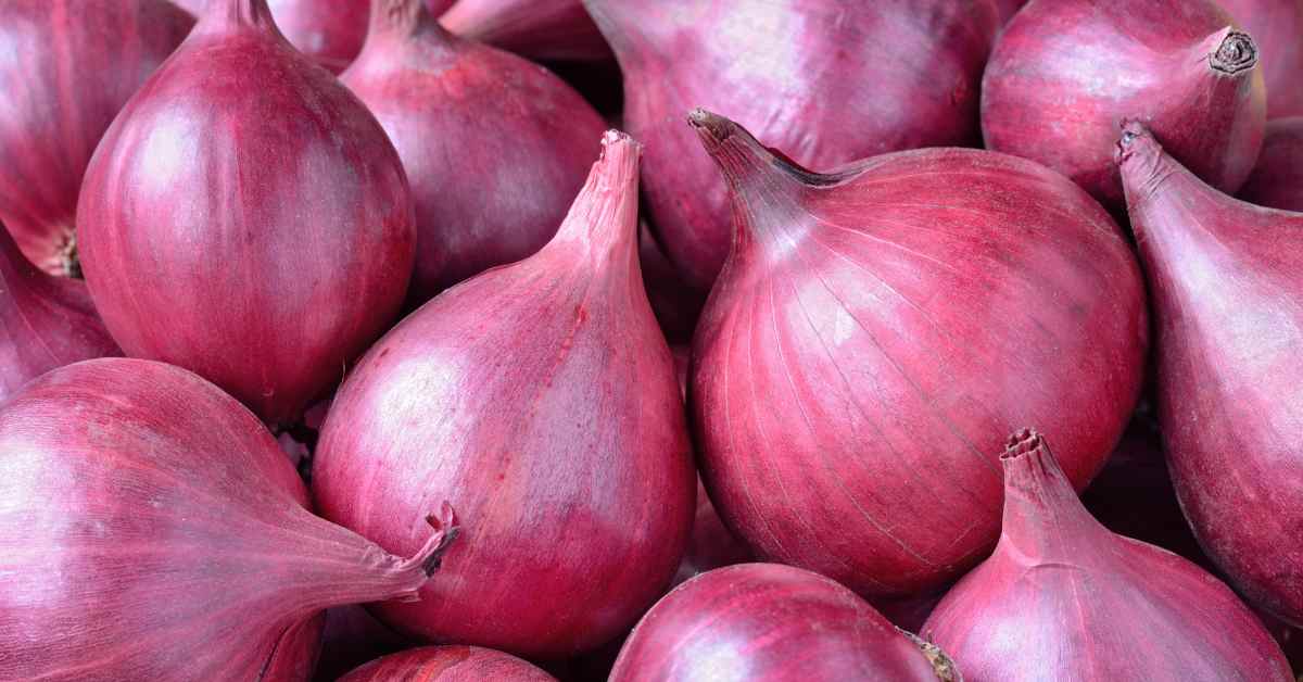 Benefits of Onion in Hindi-compressed