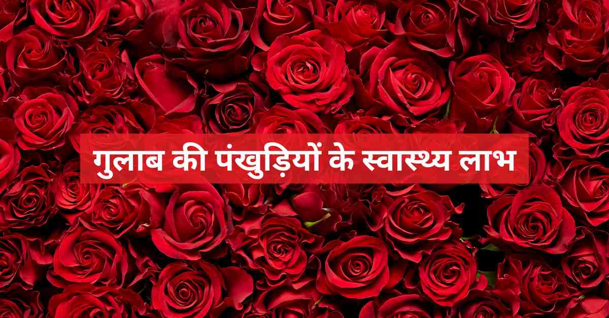 Benefits of Rose Petals In Hindi-compressed