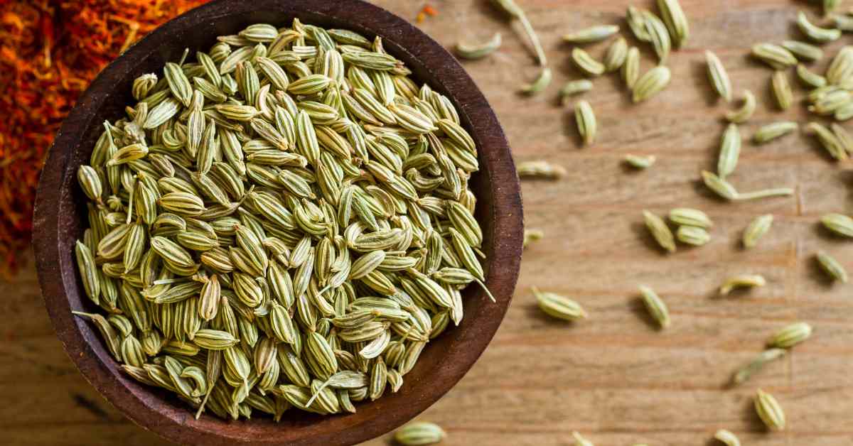 Enjoy the benefits of fennel to stay healthy-compressed