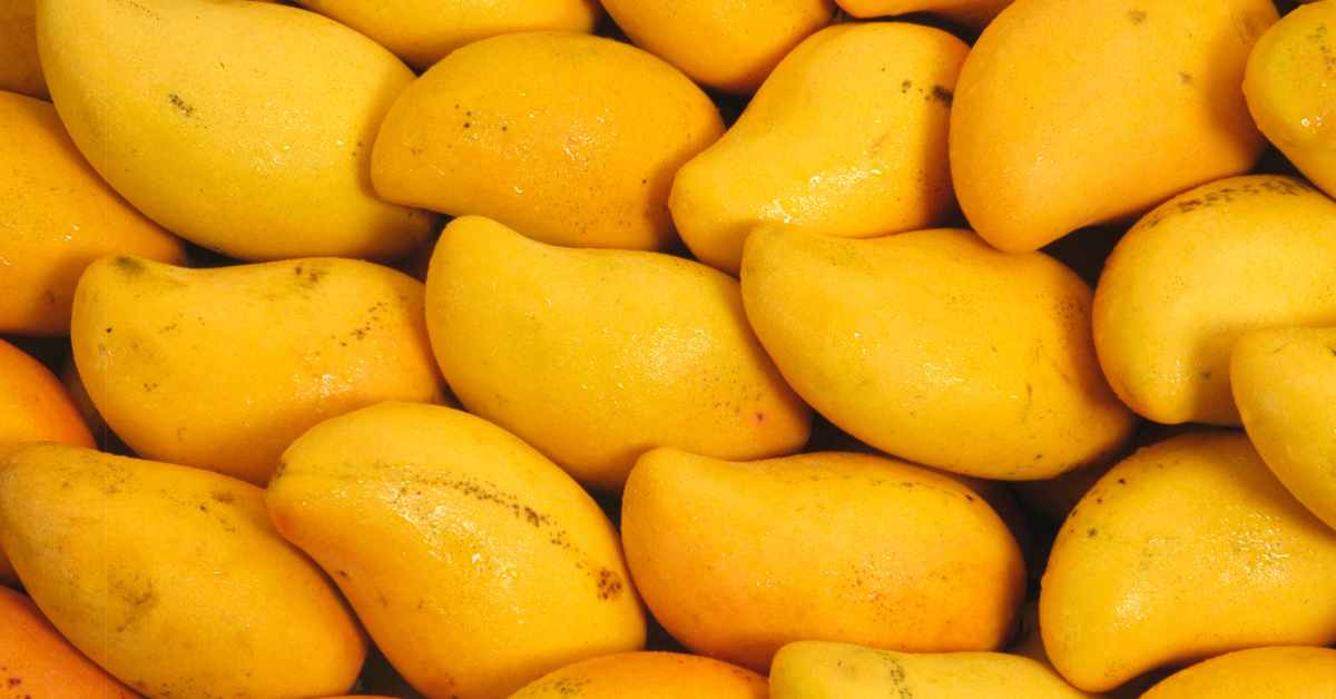 Right Way to Eat Mango-compressed
