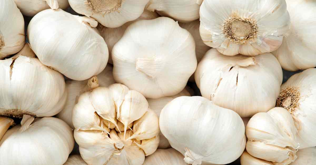 We got a boon from nature, we got garlic-compressed