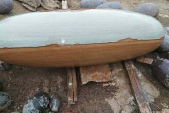 Fact of Ardhnarishwar Shivling in Hindi-compressed