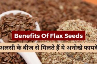 Benefits Of Flax Seeds in Hindi-compressed