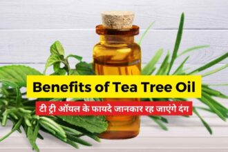 Benefits of Tea Tree Oil in Hindi-compressed