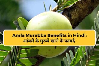 Amla Murabba Benefits in Hindi