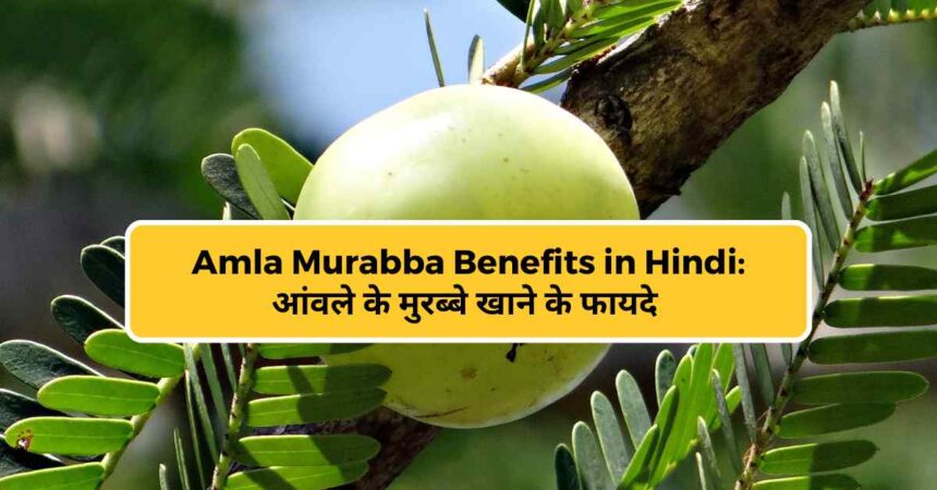 Amla Murabba Benefits in Hindi
