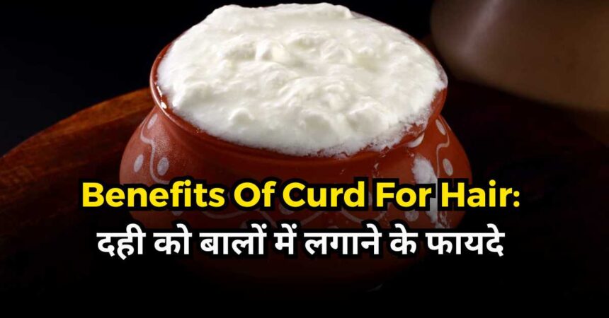 Benefits Of Curd For Hair-compressed