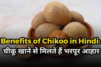 Benefits of Chikoo in Hindi-compressed