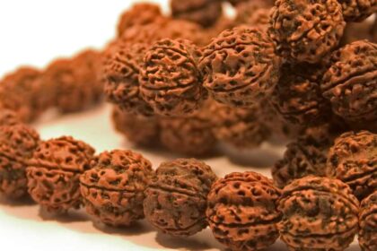 Do Mukhi Rudraksha Ke Fayde-compressed