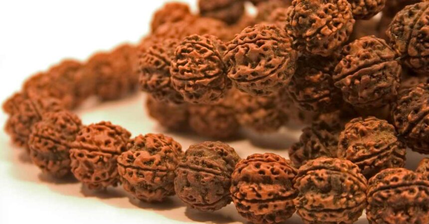 Do Mukhi Rudraksha Ke Fayde-compressed