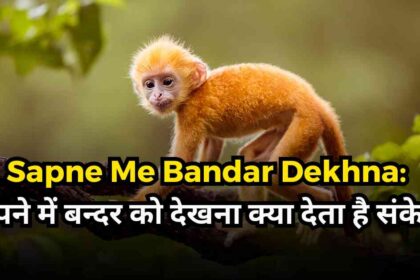 Sapne Me Bandar Dekhna What does seeing a monkey in a dream indicate-compressed