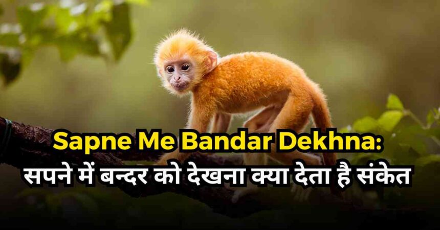 Sapne Me Bandar Dekhna What does seeing a monkey in a dream indicate-compressed