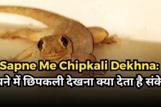 Sapne Me Chipkali Dekhna-compressed