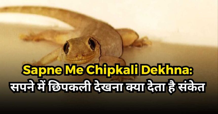 Sapne Me Chipkali Dekhna-compressed