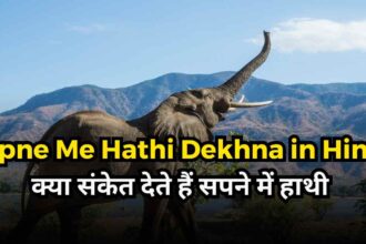 Sapne Me Hathi Dekhna in Hindi-compressed