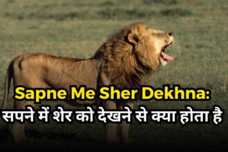 Sapne Me Sher Dekhna-compressed
