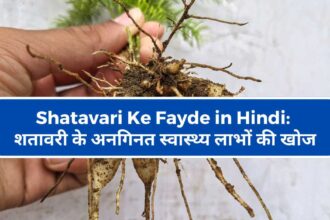 Shatavari Ke Fayde in Hindi-compressed