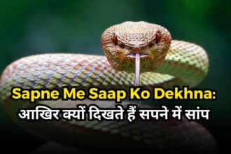 Sapne Me Saap Ko Dekhna-compressed