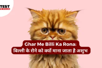 Ghar Me Billi Ka Rona