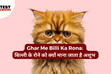 Ghar Me Billi Ka Rona