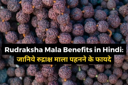 Rudraksha Mala Benefits in Hindi