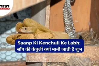 Saanp Ki Kenchuli Ke Labh