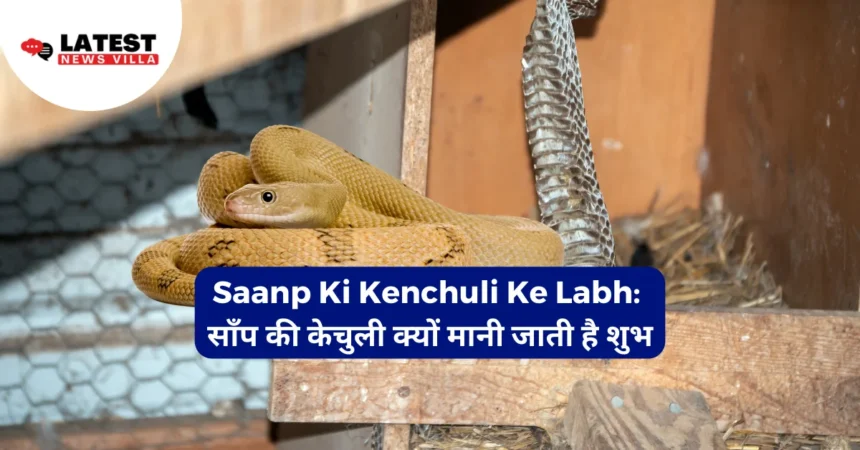 Saanp Ki Kenchuli Ke Labh