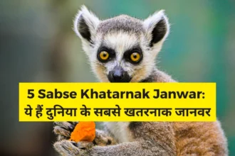 5 Sabse Khatarnak Janwar
