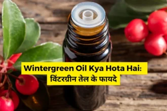 Wintergreen Oil Kya Hota Hai