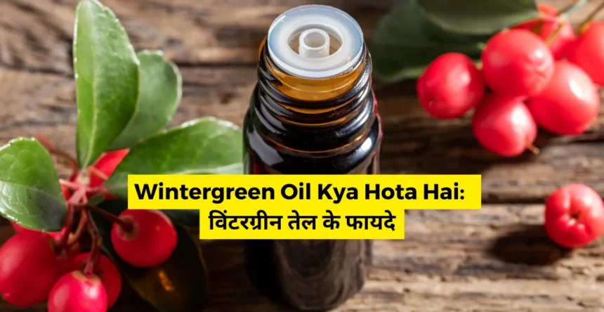 Wintergreen Oil Kya Hota Hai
